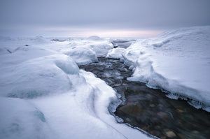 Beyond drift ice - Masashi Takada Photography