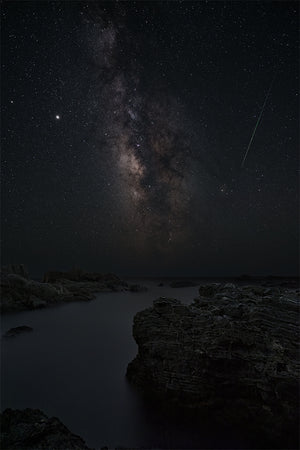 Stellar - Masashi Takada Photography